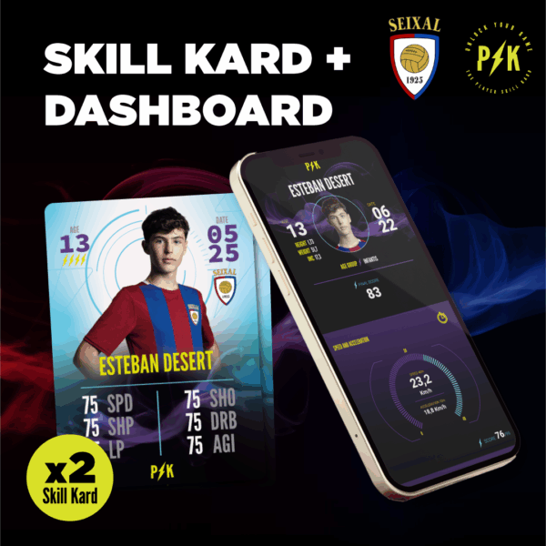 Skill Kard + Dashboard Seixal 1925
