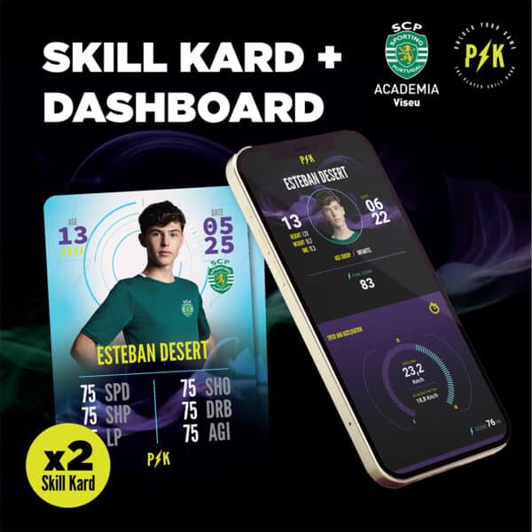 Skill Kard + Dashboard SCP Viseu